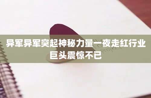 异军异军突起神秘力量一夜走红行业巨头震惊不已