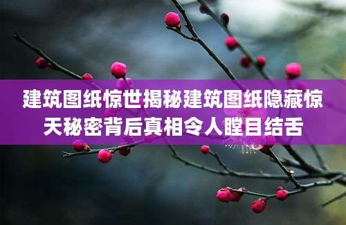 建筑图纸惊世揭秘建筑图纸隐藏惊天秘密背后真相令人瞠目结舌