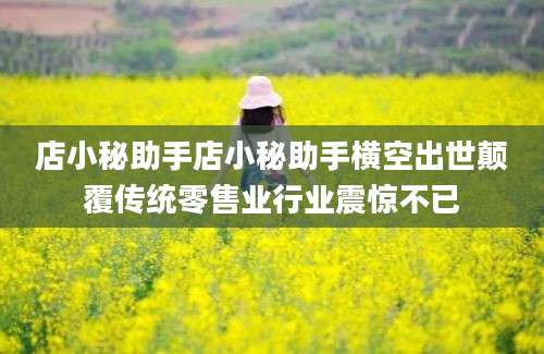 店小秘助手店小秘助手横空出世颠覆传统零售业行业震惊不已