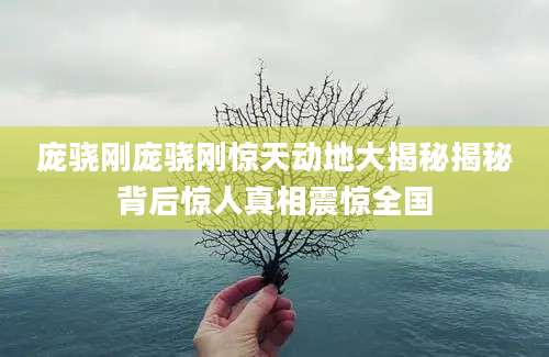 庞骁刚庞骁刚惊天动地大揭秘揭秘背后惊人真相震惊全国