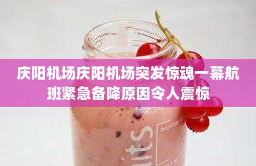 庆阳机场庆阳机场突发惊魂一幕航班紧急备降原因令人震惊