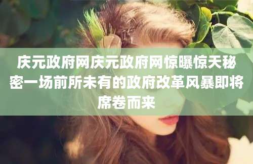 庆元政府网庆元政府网惊曝惊天秘密一场前所未有的政府改革风暴即将席卷而来