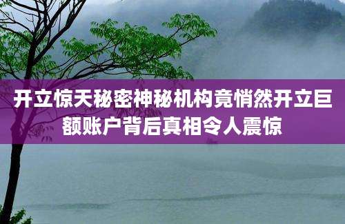 开立惊天秘密神秘机构竟悄然开立巨额账户背后真相令人震惊