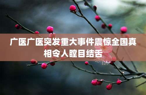 广医广医突发重大事件震惊全国真相令人瞠目结舌