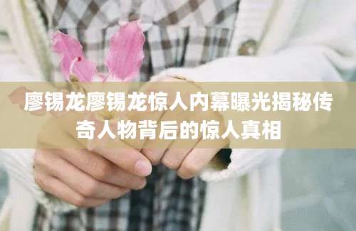 廖锡龙廖锡龙惊人内幕曝光揭秘传奇人物背后的惊人真相
