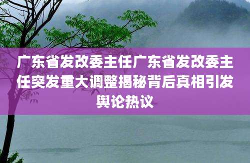 广东省发改委主任广东省发改委主任突发重大调整揭秘背后真相引发舆论热议