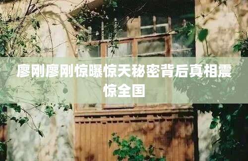 廖刚廖刚惊曝惊天秘密背后真相震惊全国
