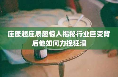 庄辰超庄辰超惊人揭秘行业巨变背后他如何力挽狂澜