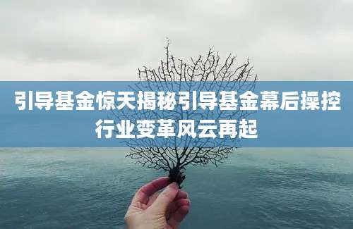 引导基金惊天揭秘引导基金幕后操控行业变革风云再起