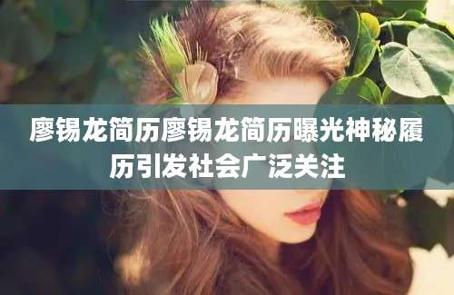 廖锡龙简历廖锡龙简历曝光神秘履历引发社会广泛关注