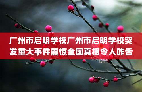 广州市启明学校广州市启明学校突发重大事件震惊全国真相令人咋舌