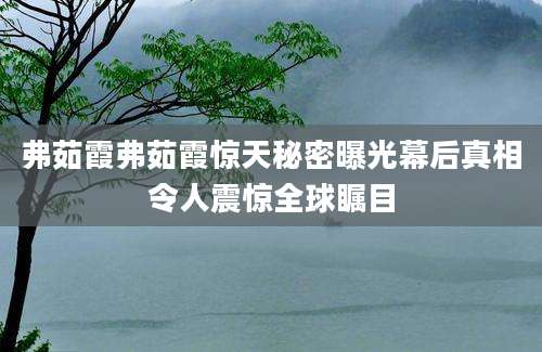 弗茹霞弗茹霞惊天秘密曝光幕后真相令人震惊全球瞩目