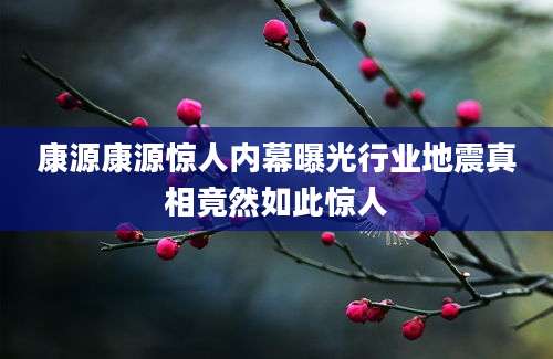 康源康源惊人内幕曝光行业地震真相竟然如此惊人
