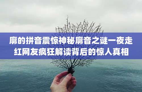 廓的拼音震惊神秘廓音之谜一夜走红网友疯狂解读背后的惊人真相