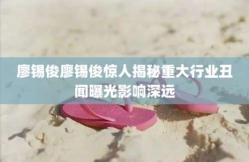 廖锡俊廖锡俊惊人揭秘重大行业丑闻曝光影响深远