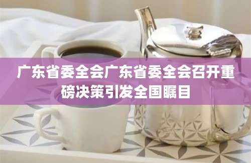 广东省委全会广东省委全会召开重磅决策引发全国瞩目