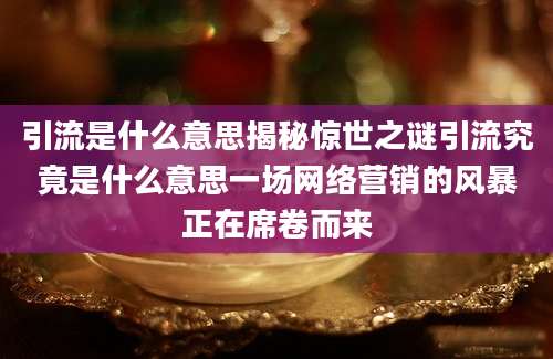 引流是什么意思揭秘惊世之谜引流究竟是什么意思一场网络营销的风暴正在席卷而来
