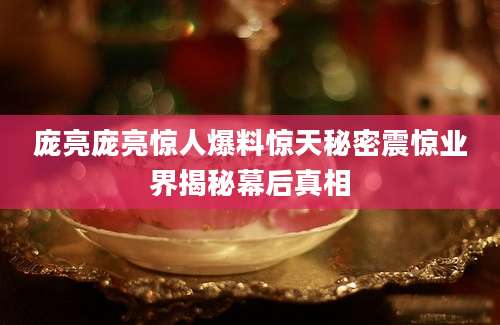 庞亮庞亮惊人爆料惊天秘密震惊业界揭秘幕后真相