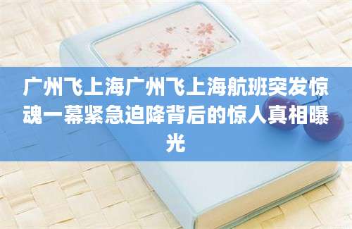 广州飞上海广州飞上海航班突发惊魂一幕紧急迫降背后的惊人真相曝光