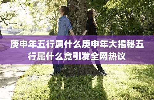 庚申年五行属什么庚申年大揭秘五行属什么竟引发全网热议