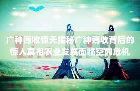 广种薄收惊天揭秘广种薄收背后的惊人真相农业发展面临空前危机