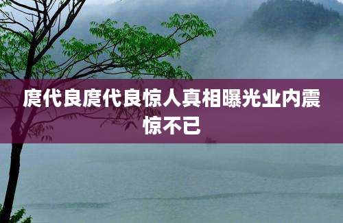 庹代良庹代良惊人真相曝光业内震惊不已