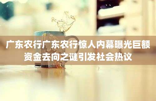 广东农行广东农行惊人内幕曝光巨额资金去向之谜引发社会热议