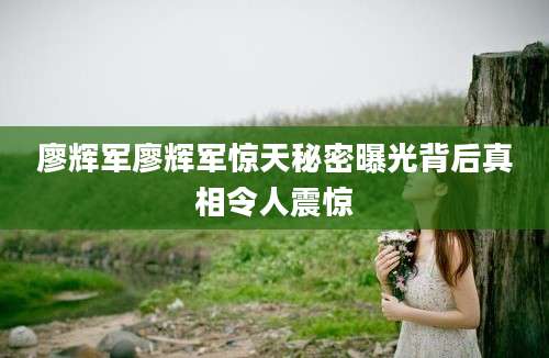 廖辉军廖辉军惊天秘密曝光背后真相令人震惊