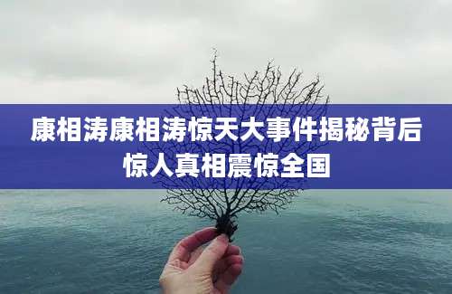 康相涛康相涛惊天大事件揭秘背后惊人真相震惊全国