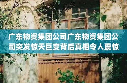 广东物资集团公司广东物资集团公司突发惊天巨变背后真相令人震惊