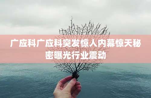广应科广应科突发惊人内幕惊天秘密曝光行业震动
