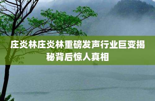 庄炎林庄炎林重磅发声行业巨变揭秘背后惊人真相