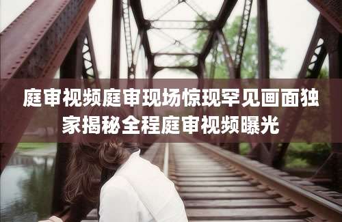 庭审视频庭审现场惊现罕见画面独家揭秘全程庭审视频曝光