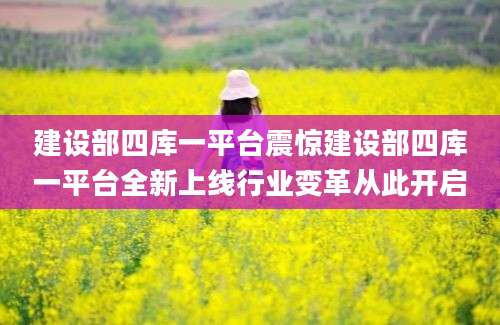 建设部四库一平台震惊建设部四库一平台全新上线行业变革从此开启