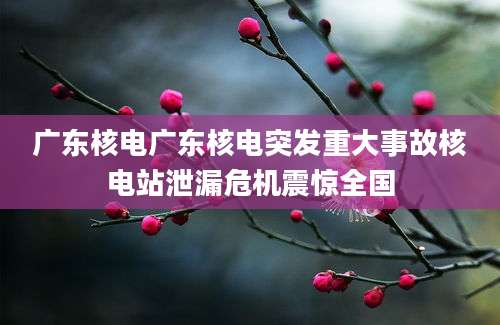 广东核电广东核电突发重大事故核电站泄漏危机震惊全国