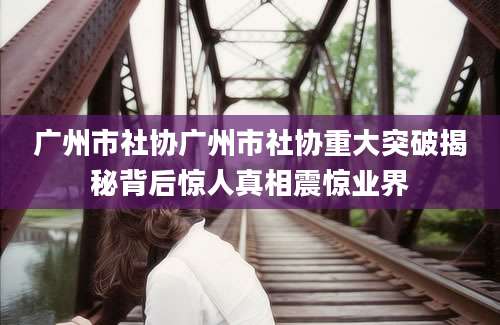 广州市社协广州市社协重大突破揭秘背后惊人真相震惊业界