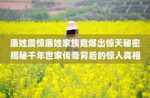 廉姓震惊廉姓家族竟爆出惊天秘密揭秘千年世家传奇背后的惊人真相