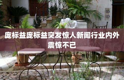 庞标益庞标益突发惊人新闻行业内外震惊不已