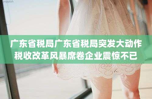 广东省税局广东省税局突发大动作税收改革风暴席卷企业震惊不已
