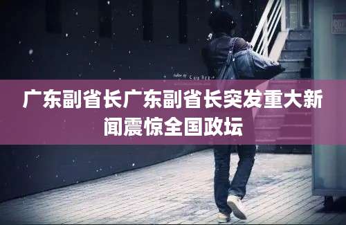 广东副省长广东副省长突发重大新闻震惊全国政坛