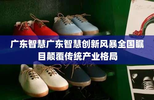广东智慧广东智慧创新风暴全国瞩目颠覆传统产业格局