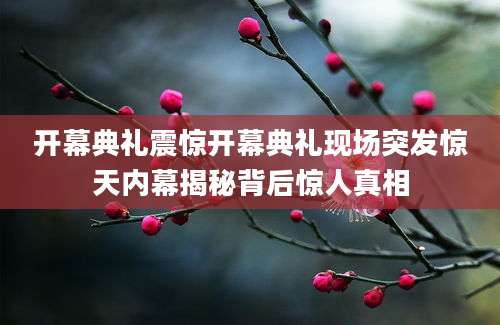 开幕典礼震惊开幕典礼现场突发惊天内幕揭秘背后惊人真相