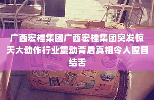 广西宏桂集团广西宏桂集团突发惊天大动作行业震动背后真相令人瞠目结舌