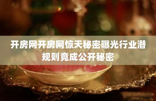 开房网开房网惊天秘密曝光行业潜规则竟成公开秘密