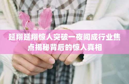 延翔延翔惊人突破一夜间成行业焦点揭秘背后的惊人真相
