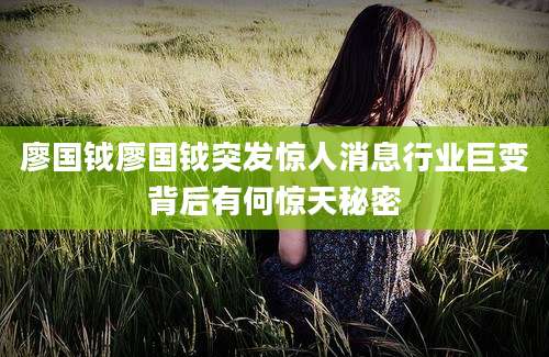 廖国钺廖国钺突发惊人消息行业巨变背后有何惊天秘密