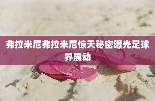弗拉米尼弗拉米尼惊天秘密曝光足球界震动