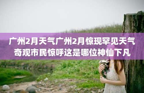 广州2月天气广州2月惊现罕见天气奇观市民惊呼这是哪位神仙下凡