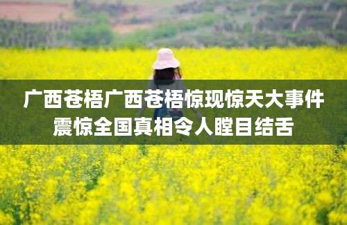 广西苍梧广西苍梧惊现惊天大事件震惊全国真相令人瞠目结舌