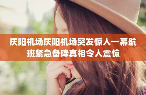 庆阳机场庆阳机场突发惊人一幕航班紧急备降真相令人震惊